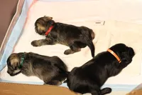 processed/ad9425bc-f5b5-452d-9201-da89e000c0d5/listing/2a5d82cf-c792-45f3-a261-3b3193ae0daf/82861664-ab04-4e70-9b3a-b82e6a1d3a1f