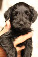 processed/ad9425bc-f5b5-452d-9201-da89e000c0d5/listing/2a5d82cf-c792-45f3-a261-3b3193ae0daf/a3529980-63fc-4fa5-8165-70efbfe75a6a