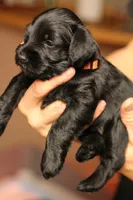 processed/ad9425bc-f5b5-452d-9201-da89e000c0d5/listing/2a5d82cf-c792-45f3-a261-3b3193ae0daf/d7f63b29-c212-4e64-9bdc-985013dcfa8d