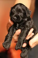 processed/ad9425bc-f5b5-452d-9201-da89e000c0d5/listing/2a5d82cf-c792-45f3-a261-3b3193ae0daf/e05f4c84-a57b-4c73-8451-77492084b41f