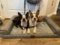 processed/adac8e8c-9420-4511-93f8-47f93de2f58d/facility/c89a1f78-248e-4489-8eba-1aabb0456089