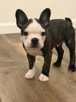 processed/adac8e8c-9420-4511-93f8-47f93de2f58d/listing/af8d09fa-787a-4114-8aba-b80b40f95c64/63cafab3-0aac-4eaf-bd0f-802a5f696f1d