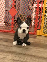 processed/adac8e8c-9420-4511-93f8-47f93de2f58d/listing/af8d09fa-787a-4114-8aba-b80b40f95c64/67bca185-9c84-4247-b767-fe1e96010e4e