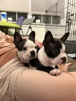 processed/adac8e8c-9420-4511-93f8-47f93de2f58d/listing/af8d09fa-787a-4114-8aba-b80b40f95c64/74c0cf94-615b-486c-90e1-ed5d9fe0ff17