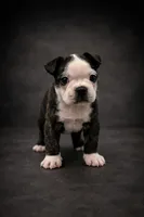 processed/adac8e8c-9420-4511-93f8-47f93de2f58d/listing/af8d09fa-787a-4114-8aba-b80b40f95c64/74e625d6-9289-423c-9c9d-a2a3b1992d53