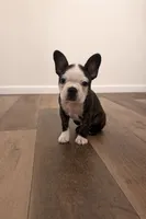 processed/adac8e8c-9420-4511-93f8-47f93de2f58d/listing/af8d09fa-787a-4114-8aba-b80b40f95c64/89d178f7-a443-4ae3-9afb-0c15858dae8a