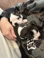 processed/adac8e8c-9420-4511-93f8-47f93de2f58d/listing/af8d09fa-787a-4114-8aba-b80b40f95c64/944a9149-3819-470e-b34d-6b9a8e4f451d