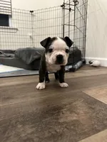 processed/adac8e8c-9420-4511-93f8-47f93de2f58d/listing/af8d09fa-787a-4114-8aba-b80b40f95c64/cd41640e-582e-473a-87a2-e8c0088d4916