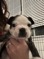 processed/adac8e8c-9420-4511-93f8-47f93de2f58d/listing/af8d09fa-787a-4114-8aba-b80b40f95c64/e17870c1-d0d9-4844-8774-711196e0bf4a