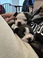 processed/adac8e8c-9420-4511-93f8-47f93de2f58d/listing/cb00d1e0-44f1-41df-9d72-95df4faa6778/342a3735-584a-4b76-9081-dc37f19e97b5