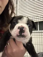 processed/adac8e8c-9420-4511-93f8-47f93de2f58d/listing/cb00d1e0-44f1-41df-9d72-95df4faa6778/5b9725ab-e39b-4ebc-912a-330266caf56c