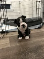 processed/adac8e8c-9420-4511-93f8-47f93de2f58d/listing/cb00d1e0-44f1-41df-9d72-95df4faa6778/7fbd236d-fa73-417e-8264-2a966155b0c0