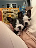 processed/adac8e8c-9420-4511-93f8-47f93de2f58d/listing/cb00d1e0-44f1-41df-9d72-95df4faa6778/8acdc2ee-83e6-4648-847b-24bf1c91a0bb