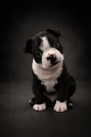 processed/adac8e8c-9420-4511-93f8-47f93de2f58d/listing/cb00d1e0-44f1-41df-9d72-95df4faa6778/c71142f3-d7e0-4c15-86c5-11e05f4c13fc