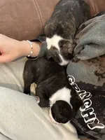 processed/adac8e8c-9420-4511-93f8-47f93de2f58d/listing/cb00d1e0-44f1-41df-9d72-95df4faa6778/cffbe9e4-4938-4d17-b5ba-f0c66b56992f