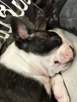 processed/adac8e8c-9420-4511-93f8-47f93de2f58d/listing/cb00d1e0-44f1-41df-9d72-95df4faa6778/f4f93248-133a-4def-91be-85fa008b7ad2