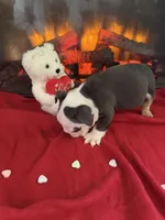 processed/adad52d5-6aa1-4eea-a8f5-1fae6421db11/listing/11222bff-5ee4-4f47-8bb8-9fa333e8b47f/096987bb-66c8-4f89-a087-7a05a9ff13cf