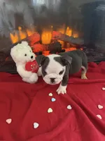 processed/adad52d5-6aa1-4eea-a8f5-1fae6421db11/listing/11222bff-5ee4-4f47-8bb8-9fa333e8b47f/0eafffc1-adad-44f1-b696-ad84657f2c7a