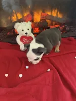 processed/adad52d5-6aa1-4eea-a8f5-1fae6421db11/listing/11222bff-5ee4-4f47-8bb8-9fa333e8b47f/c4d0ad59-4556-4566-98ea-af49b4a4f8f5