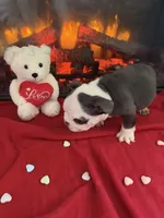 processed/adad52d5-6aa1-4eea-a8f5-1fae6421db11/listing/11222bff-5ee4-4f47-8bb8-9fa333e8b47f/f0062f6a-6b8d-462a-ae28-5538667e23b3