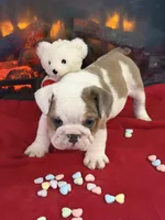 processed/adad52d5-6aa1-4eea-a8f5-1fae6421db11/listing/353cb9da-a69c-4426-84e2-5af04dcd4a24/01a05f2b-a130-41d6-8bcd-f6bd0d9721b1