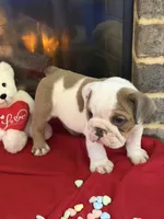 processed/adad52d5-6aa1-4eea-a8f5-1fae6421db11/listing/353cb9da-a69c-4426-84e2-5af04dcd4a24/57f58319-6d92-4403-a320-3fdf060e9640