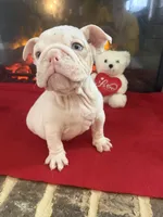 processed/adad52d5-6aa1-4eea-a8f5-1fae6421db11/listing/707a2e40-6b13-408c-a2da-8e3393da6920/26d6a2da-8f84-4dde-ba66-2b8a3863704f