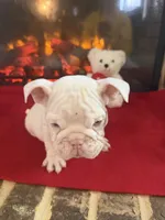 processed/adad52d5-6aa1-4eea-a8f5-1fae6421db11/listing/707a2e40-6b13-408c-a2da-8e3393da6920/476b0142-5da3-4891-a5ac-db7d2136f29d