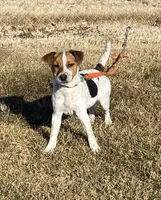 processed/adad7ffd-28c6-409c-93fd-156ca5ccdbea/listing/37ccf4c7-68c3-4fc0-856e-c1af15de2861/2f36c307-742e-4396-8428-3028a55ea4c8