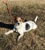 processed/adad7ffd-28c6-409c-93fd-156ca5ccdbea/listing/37ccf4c7-68c3-4fc0-856e-c1af15de2861/390b86c6-d0cf-4c56-b93c-f3856d0619a7