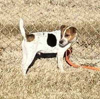 processed/adad7ffd-28c6-409c-93fd-156ca5ccdbea/listing/37ccf4c7-68c3-4fc0-856e-c1af15de2861/79e651df-d641-4983-9d2c-b99e394b47de