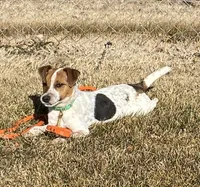 processed/adad7ffd-28c6-409c-93fd-156ca5ccdbea/listing/37ccf4c7-68c3-4fc0-856e-c1af15de2861/a5305e82-6406-486d-a60c-67c26140ca38