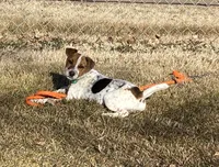 processed/adad7ffd-28c6-409c-93fd-156ca5ccdbea/listing/37ccf4c7-68c3-4fc0-856e-c1af15de2861/cb5e3380-771d-411c-849d-378d0ae07885