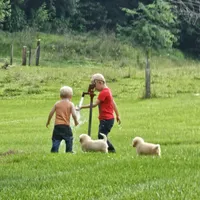 processed/adb18606-795f-4127-9b86-4f15b046dcba/facility/8a208b3a-83f2-430f-8f9d-e81f901ee586