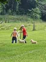 processed/adb18606-795f-4127-9b86-4f15b046dcba/facility/8a208b3a-83f2-430f-8f9d-e81f901ee586