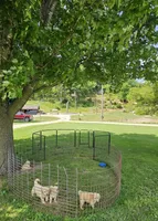 processed/adb18606-795f-4127-9b86-4f15b046dcba/facility/956869b6-e818-47fd-bcca-40cc7a61b7bd