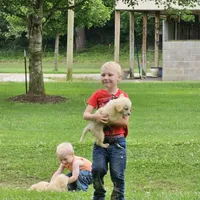 processed/adb18606-795f-4127-9b86-4f15b046dcba/facility/bc9f47f3-a147-4b15-a48a-ca5b899c2402