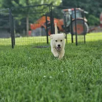 processed/adb18606-795f-4127-9b86-4f15b046dcba/facility/c6e4a74f-b211-47da-9f7a-0f76b06d5d99