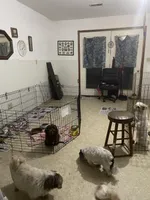 processed/adbbe942-eaff-433c-99a0-a6773f4c4ec6/facility/3701da0f-1c1e-412d-a4d1-7dd015cf757d