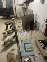 processed/adbbe942-eaff-433c-99a0-a6773f4c4ec6/facility/e13bcaa3-aeca-422d-86cd-b1158970bc1b