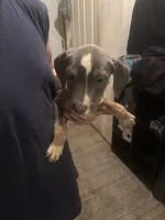 processed/adbc5fa5-7e97-4f29-b835-4bc75861e340/listing/62ad2171-7ded-4d1b-b991-af68b61526ea/39e914c8-989a-46e9-b5db-acb261350c37