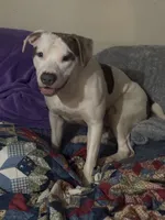 processed/adbc5fa5-7e97-4f29-b835-4bc75861e340/listing/62ad2171-7ded-4d1b-b991-af68b61526ea/9e457440-570d-4146-8281-566308496b4f