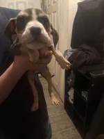 processed/adbc5fa5-7e97-4f29-b835-4bc75861e340/listing/7603c661-03ac-445e-89c8-2da594836efb/3b9d31d9-6e71-48d2-a2bc-ad9836d22881