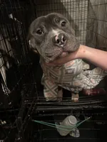 processed/adbc5fa5-7e97-4f29-b835-4bc75861e340/listing/7603c661-03ac-445e-89c8-2da594836efb/4112a966-fe76-4605-9b38-a59b4435f5db