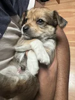 processed/adbff62c-de1f-4dc4-beb1-e7063671860a/facility/10821781-6399-44e4-a9f4-f004f837ed78