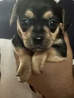 processed/adbff62c-de1f-4dc4-beb1-e7063671860a/facility/6253866e-f1d3-455d-9e41-1d782ddf269c