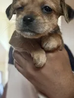 processed/adbff62c-de1f-4dc4-beb1-e7063671860a/facility/a636f358-7fc9-4104-83d5-b21be0fcb8b3