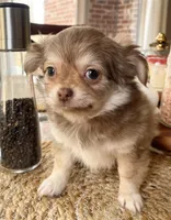 processed/adc1ea63-97aa-4490-88ef-7a145f84b9ce/listing/1efc482a-3934-4577-ba09-a47b1417eb7e/08af538f-9ca4-45fd-ab54-f568e0303417