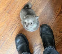 processed/adc1ea63-97aa-4490-88ef-7a145f84b9ce/listing/1efc482a-3934-4577-ba09-a47b1417eb7e/10535d25-9d94-4182-a3e1-4dfe4e2ed6be