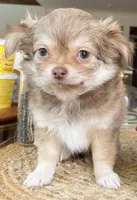 processed/adc1ea63-97aa-4490-88ef-7a145f84b9ce/listing/1efc482a-3934-4577-ba09-a47b1417eb7e/93628bdb-e318-4db6-8633-bf3caf7de3fe